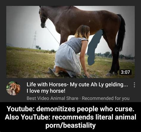 horse beastiality|Horse sex videos and Stallion porn movies